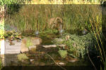 Le jardin aquatique de Scoubidou automne 2005  25 