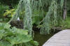 Miroir d'eau Aqualife - bassin de jardin de dmonstration 1   33 