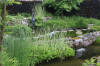 Miroir d'eau Aqualife - bassin de jardin de dmonstration 1   17 