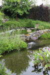 Miroir d'eau Aqualife - bassin de jardin de dmonstration 1   21 