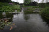 Miroir d'eau Aqualife - bassin de jardin de dmonstration 2  1 