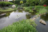 Miroir d'eau Aqualife - bassin de jardin de dmonstration 3  13 