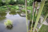 Miroir d'eau Aqualife - bassin de jardin de dmonstration 3  3 