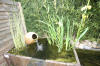 Miroir d'eau Aqualife - petits bassins de jardin de dmonstration   20 