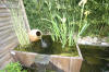 Miroir d'eau Aqualife - petits bassins de jardin de dmonstration   21 