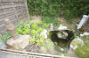 Miroir d'eau Aqualife - petits bassins de jardin de dmonstration   14 