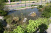 Aqua garden center : le jardin de dmonstration en 2008 page 1  3 