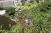Aqua garden center : le jardin de  dmonstration en 2008 page 2  25 