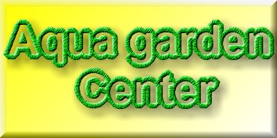 Aqua Garden Center : le grand aquarium  1 