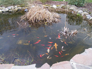 Aquapunt d'Autreppe