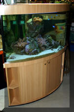 biotop les aquariums  2 