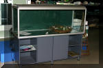 biotop les aquariums  1 