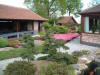  Paradise of Japanese Ko le jardin  15 