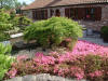  Paradise of Japanese Ko le jardin  7 