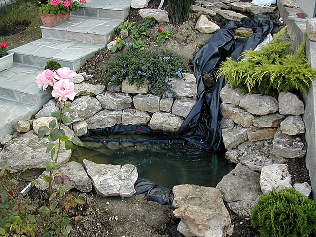 construction d’un bassin de jardin avec cascade