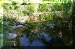 Le bassin de Sev   31 