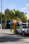 Un voyage en Floride : Sunset  Key West  23 