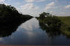 Un voyage en Floride : Les Everglades  41 