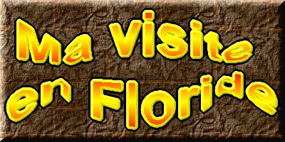 Un voyage en Floride : Les Everglades  1 