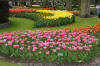 Keukenhof un festival de tulipe page 10  32 