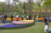 Keukenhof un festival de tulipe page 10  24 