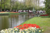 Keukenhof un festival de tulipe page 10  19 