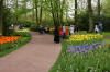 Keukenhof un festival de tulipe page 11  33 