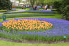 Keukenhof un festival de tulipe page 11  15 