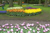 Keukenhof un festival de tulipe page 2  50 