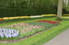 Keukenhof un festival de tulipe page 2  25 