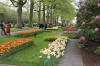 Keukenhof un festival de tulipe page 2  19 