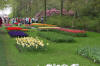 Keukenhof un festival de tulipe page 2  14 