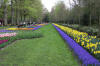 Keukenhof un festival de tulipe page 2  4 