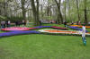 Keukenhof un festival de tulipe page 3  49 