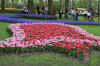 Keukenhof un festival de tulipe page 3  45 