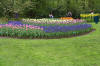 Keukenhof un festival de tulipe page 3  31 