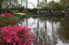 Keukenhof un festival de tulipe page 3  27 