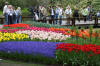 Keukenhof un festival de tulipe page 3  25 