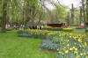 Keukenhof un festival de tulipe page 3  11 