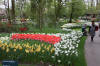 Keukenhof un festival de tulipe page 4  19 