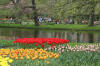 Keukenhof un festival de tulipe page 4  18 