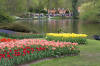 Keukenhof un festival de tulipe page 4  17 