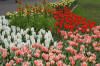 Keukenhof un festival de tulipe page 4  15 