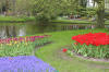 Keukenhof un festival de tulipe page 4  8 