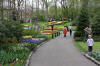 Keukenhof un festival de tulipe page 5  34 