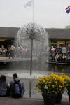 Keukenhof un festival de tulipe page 6  50 