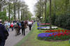 Keukenhof un festival de tulipe page 6  48 