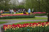 Keukenhof un festival de tulipe page 6  15 