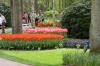 Keukenhof un festival de tulipe page 7  39 