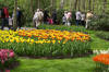 Keukenhof un festival de tulipe page 7  34 